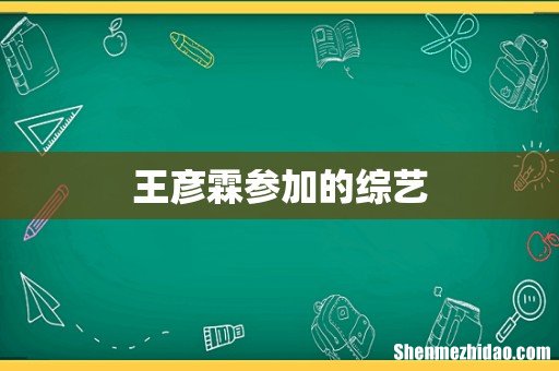 王彦霖参加的综艺