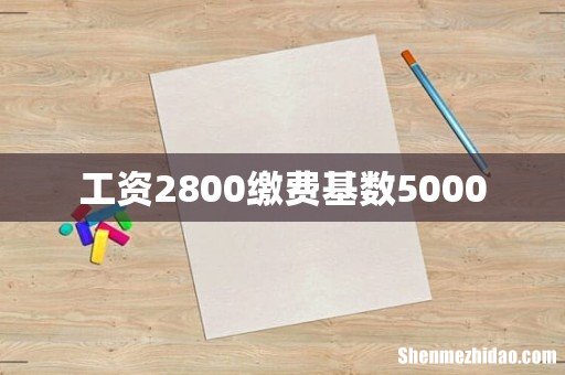 工资2800缴费基数5000