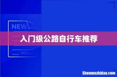 入门级公路自行车推荐