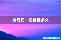 鸟假死一般持续多久