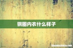 钢圈内衣什么样子