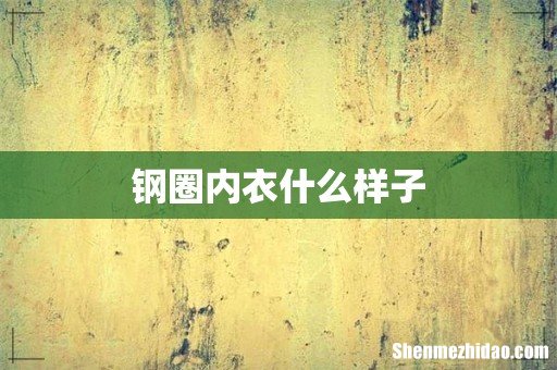 钢圈内衣什么样子