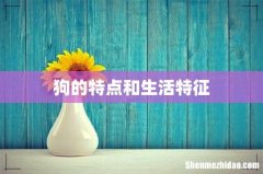 狗的特点和生活特征