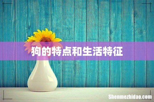 狗的特点和生活特征