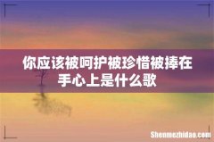 你应该被呵护被珍惜被捧在手心上是什么歌