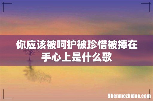你应该被呵护被珍惜被捧在手心上是什么歌