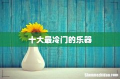 十大最冷门的乐器