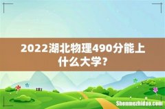 2022湖北物理490分能上什么大学？