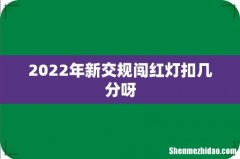 2022年新交规闯红灯扣几分呀