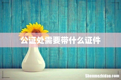 公证处需要带什么证件