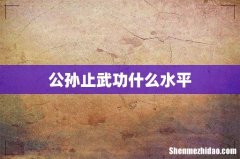 公孙止武功什么水平