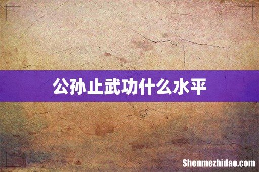 公孙止武功什么水平