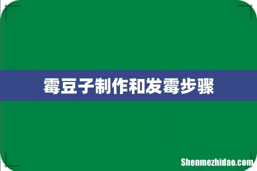 霉豆子制作和发霉步骤