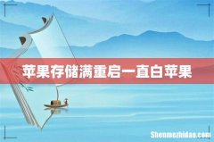 苹果存储满重启一直白苹果