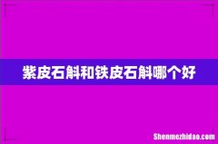 紫皮石斛和铁皮石斛哪个好