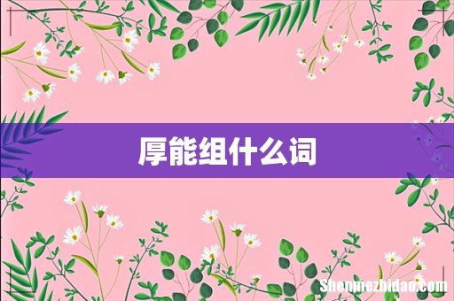 厚能组什么词