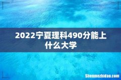 2022宁夏理科490分能上什么大学