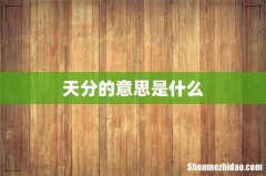 天分的意思是什么