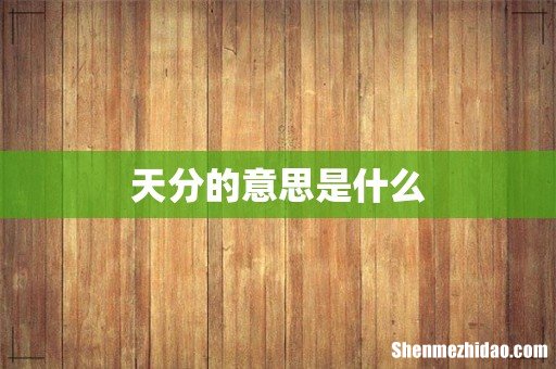 天分的意思是什么