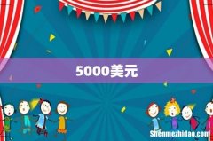 5000美元