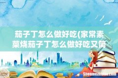 家常素菜烧茄子丁怎么做好吃又简单，做法 茄子丁怎么做好吃