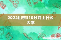 2022山东310分能上什么大学