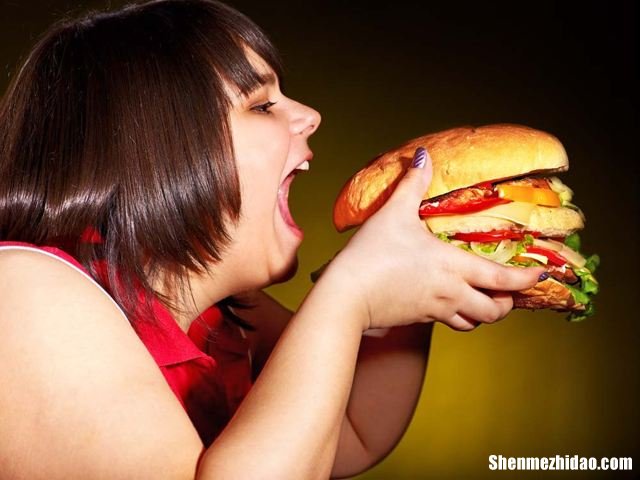 胖女为什么难怀孕 女人胖为什么怀不了孕