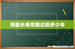 狗最长寿命能达到多少年