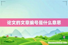 论文的文章编号是什么意思