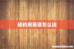 矮的用英语怎么说