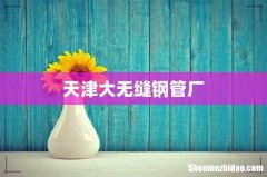 天津大无缝钢管厂