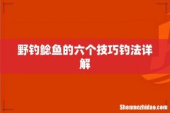 野钓鲶鱼的六个技巧钓法详解