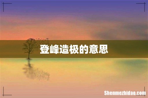 登峰造极的意思