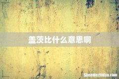 盖茨比什么意思啊