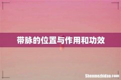 带脉的位置与作用和功效