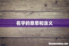 名字的意思和含义