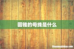 圆锥的母线是什么