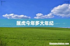 属虎今年多大年纪