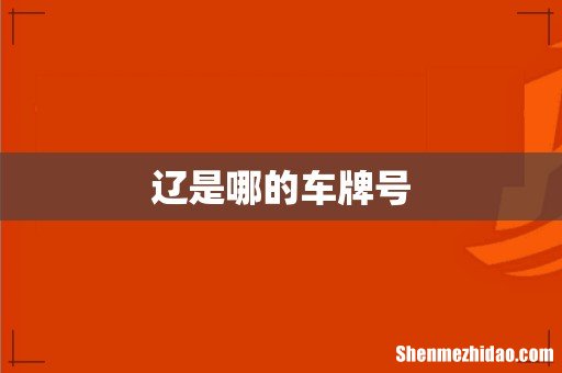 辽是哪的车牌号