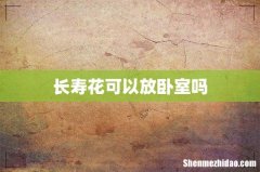 长寿花可以放卧室吗