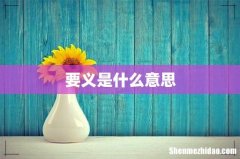 要义是什么意思