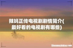 最好看的电视剧有哪些 辣妈正传电视剧剧情简介
