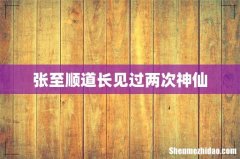 张至顺道长见过两次神仙