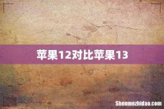苹果12对比苹果13
