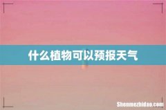 什么植物可以预报天气