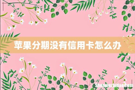 苹果分期没有信用卡怎么办