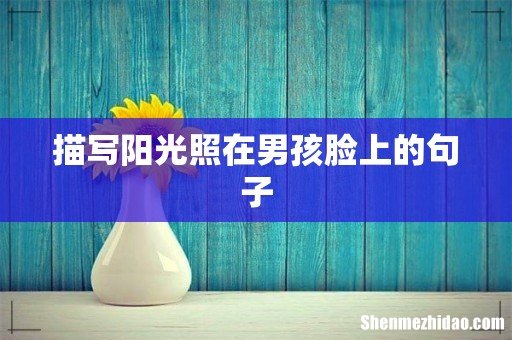 描写阳光照在男孩脸上的句子