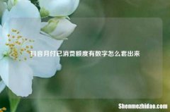 抖音月付已消费额度有数字怎么套出来