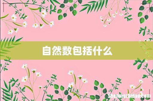 自然数包括什么