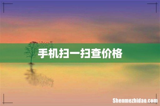 手机扫一扫查价格